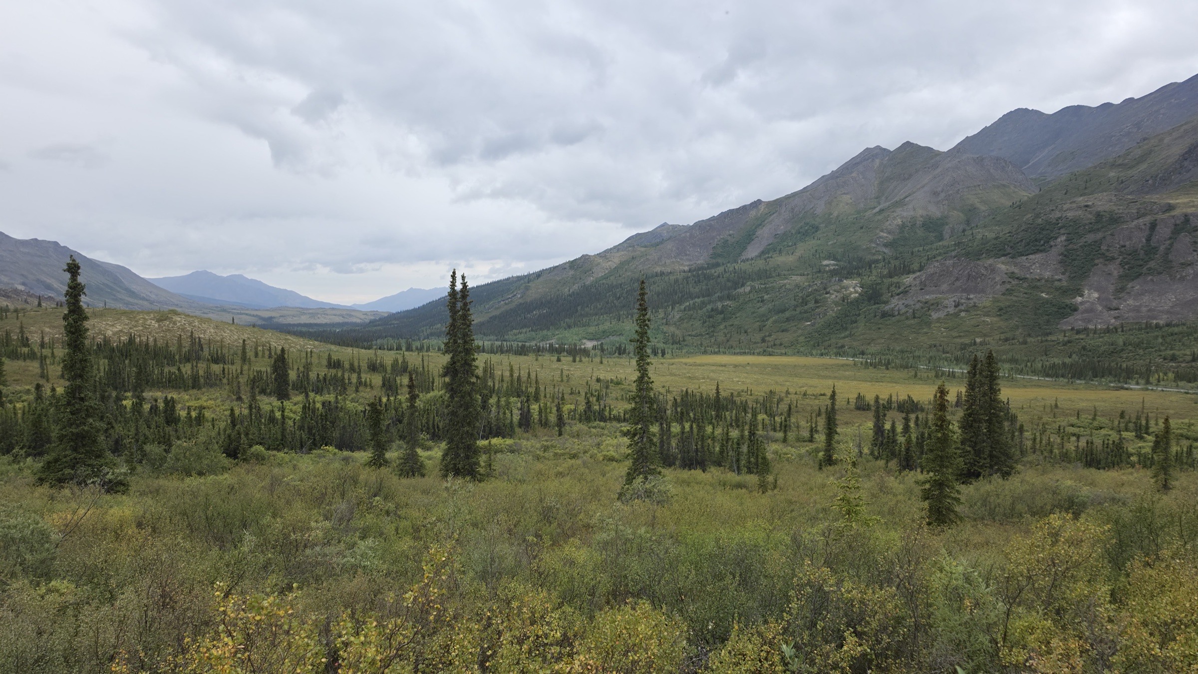 View back down across open tundra fields toward the road and the first line of stunted trees.