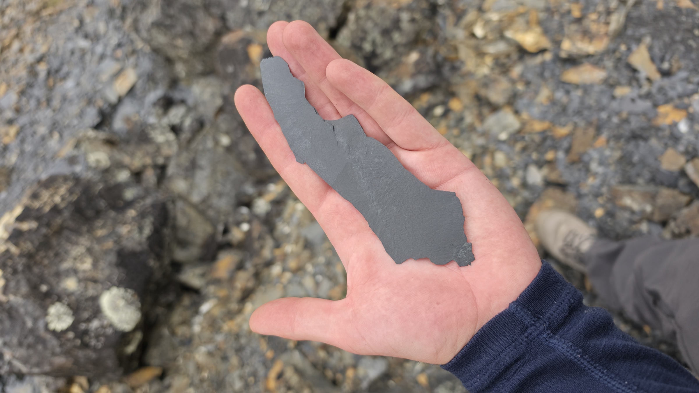 A thin sheet of shale held flat in a hand, about three fingers wide and a palm long.